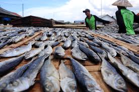 Garam Langka Harga Ikan Asin Pun Melambung